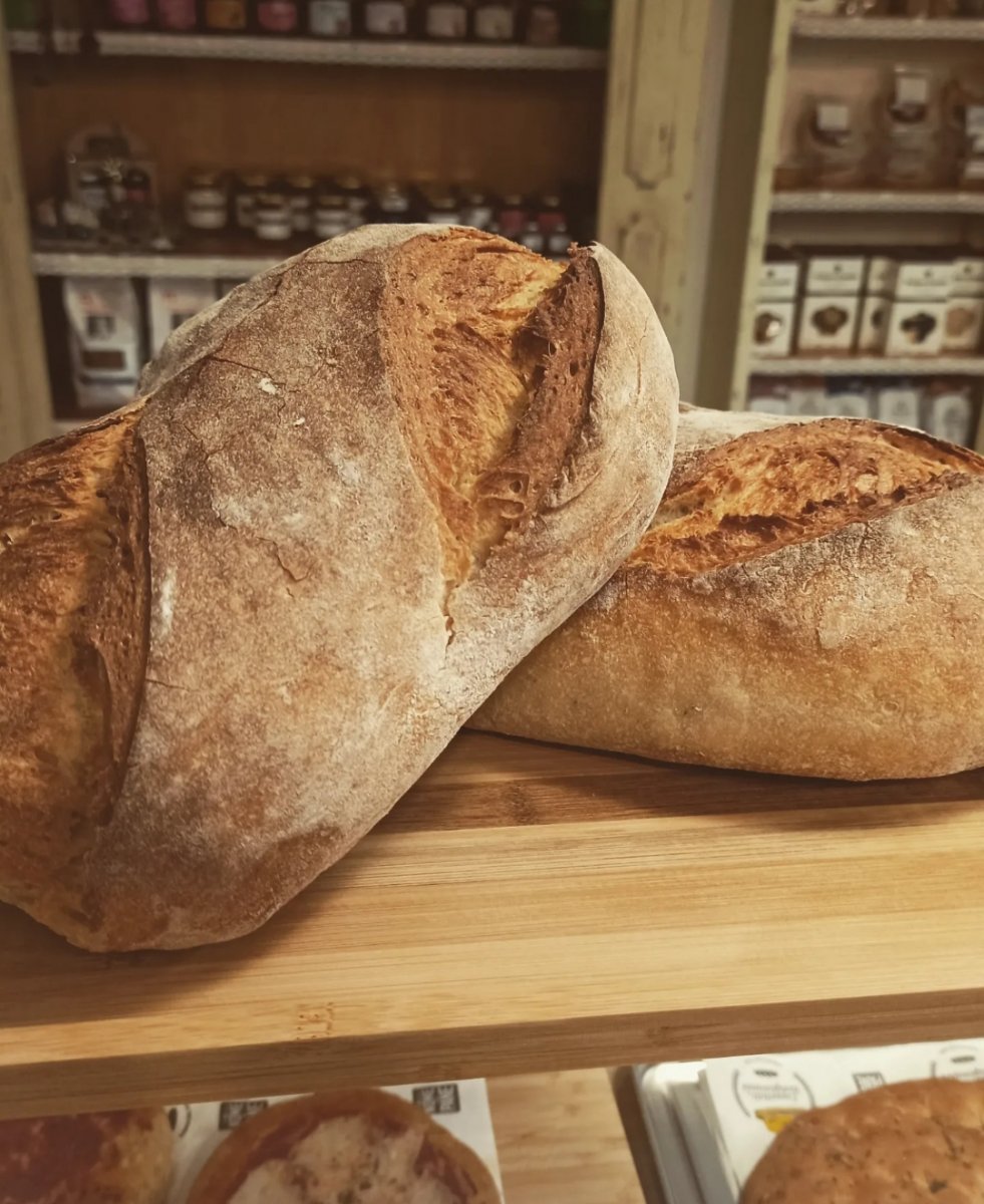 Pane di senatore cappelli bio con lievito madre Filone di pane al senatore cappelli