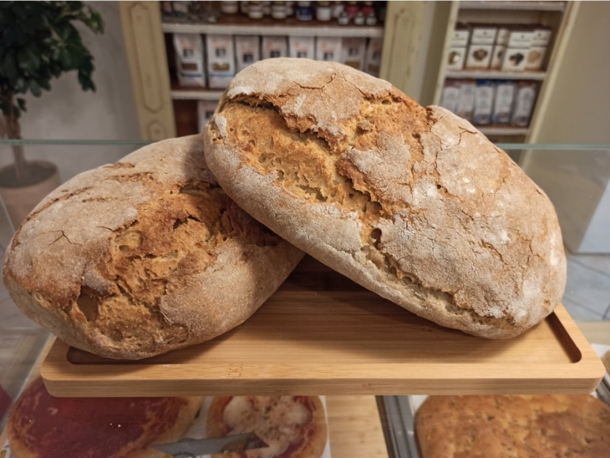 Pane montanaro semintegrale bio con lievito madre Filone di pane semintegrale con lievitazione naturale