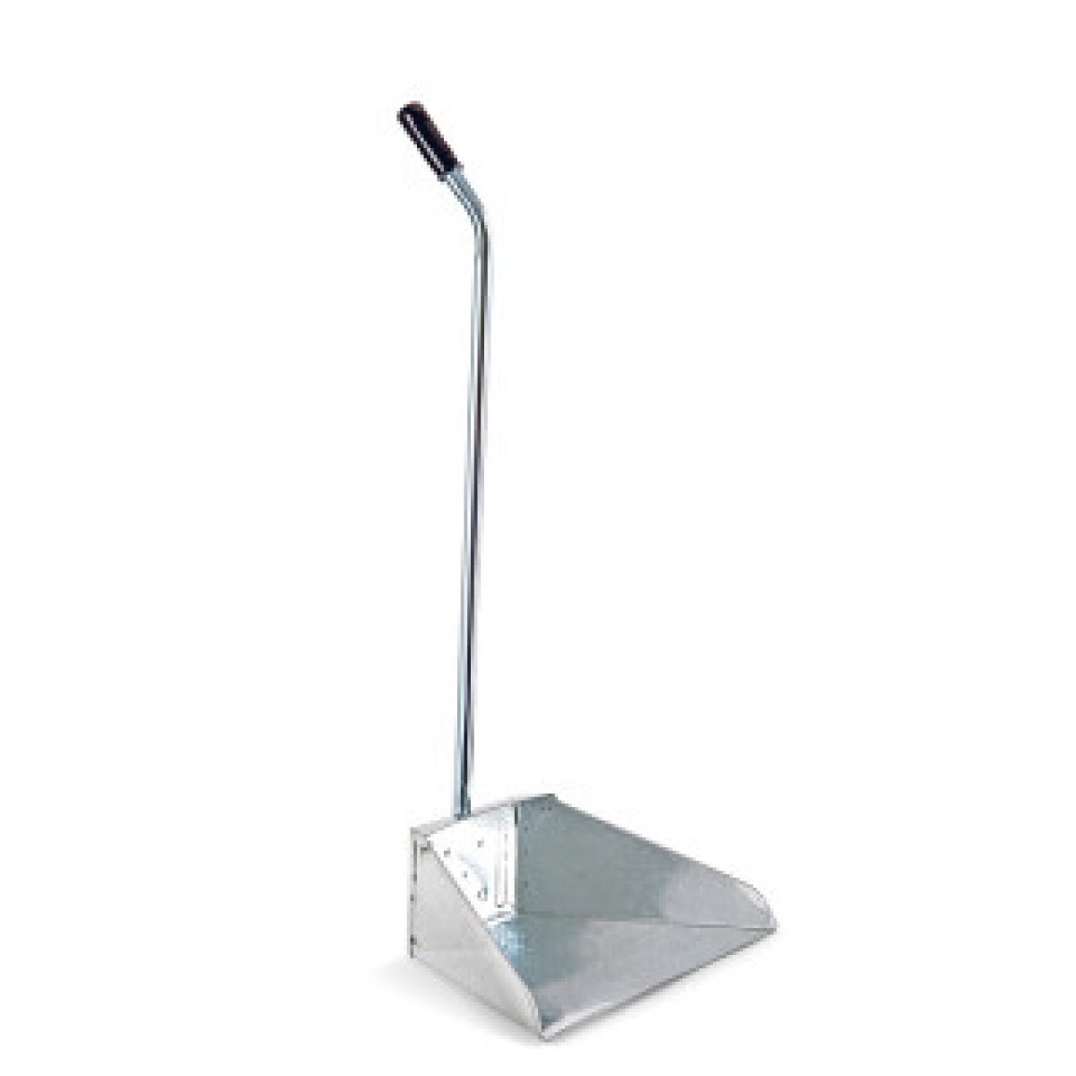 ALZAIMMONDIZIE ZINC.CM.35x25 Verdelook