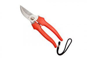 FORBICI GIARDINO LAME INOX CURVE CM.19