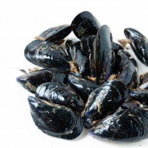 cozze fresche Spagna