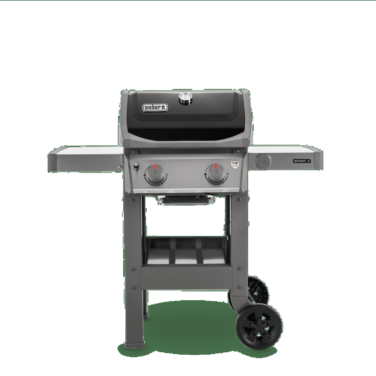 WEBER - Bbq spirit II E 210 GBS