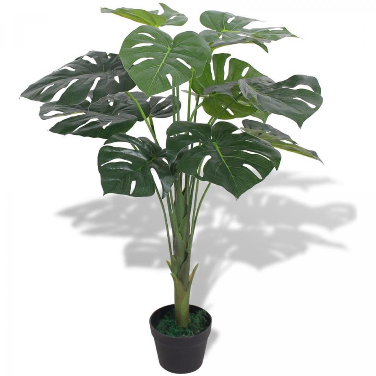 PIANTA MONSTERA H.120 CM 24 FOGLIE