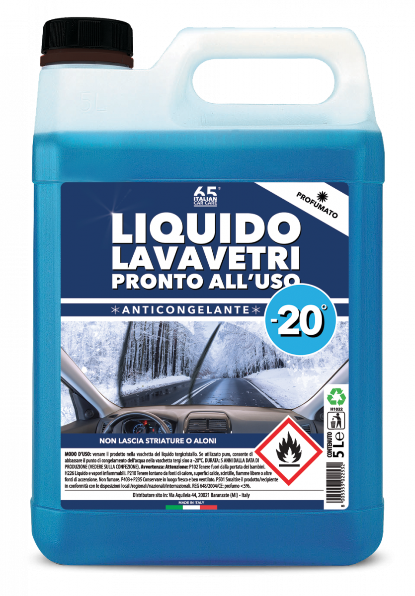 VAICO V60-0124 Liquido lavavetri invernale Contenuto: 5l, Blu, Tanica, Q+  qualità di primo fornitore MADE IN GERMANY Clean Screen Winter, Clean  Screen_winter