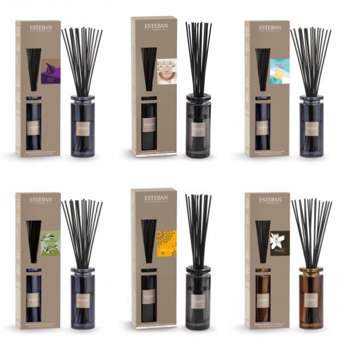 1 Bouquet Profumato - diffusore a bastoncini Esteban Paris - 75 ml