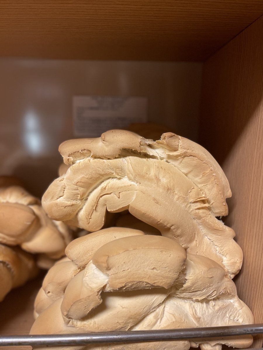 Mezzaluna pasta dura