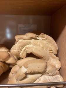 Mezzaluna pasta dura