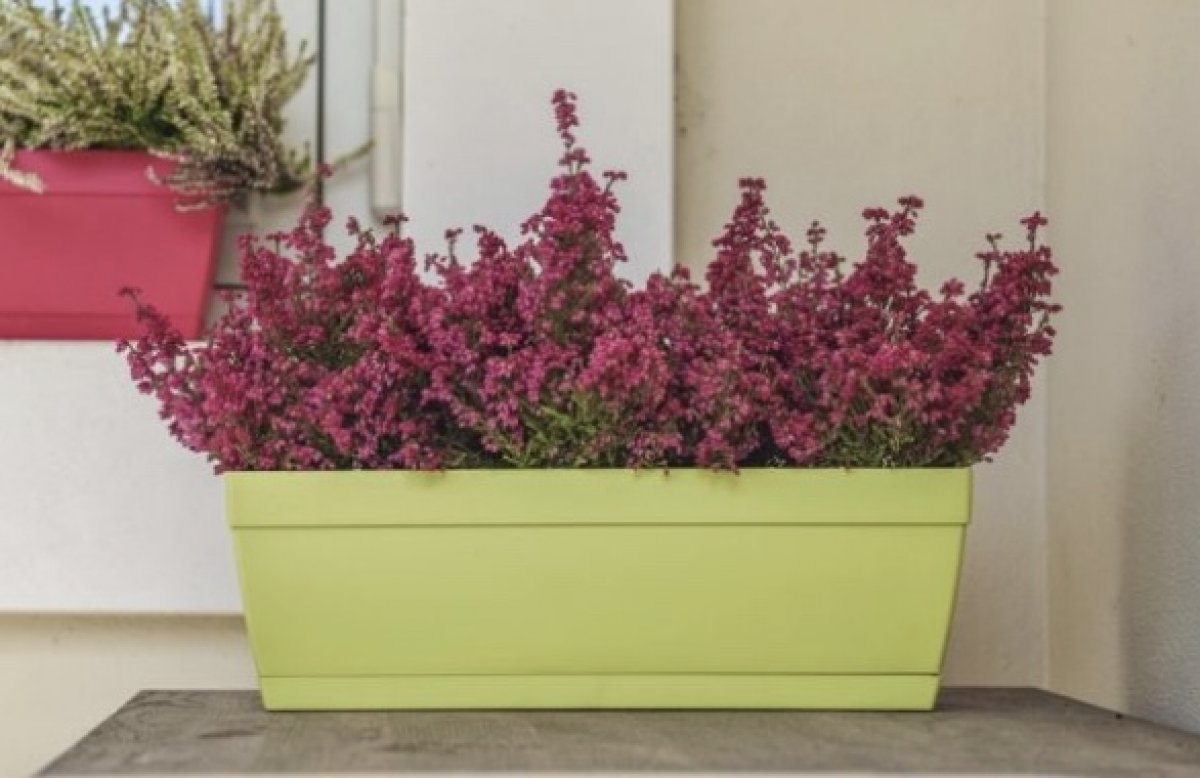 Vaschetta mini cm 40 Telcom - diversi colori disponibili