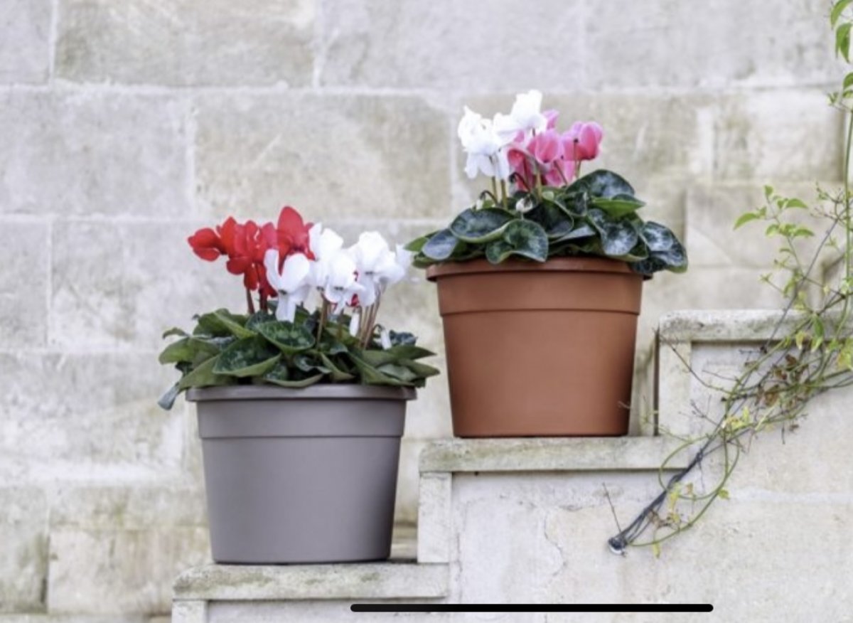 Vaso cilindrico Telcom cm 15 - diversi colori disponibili