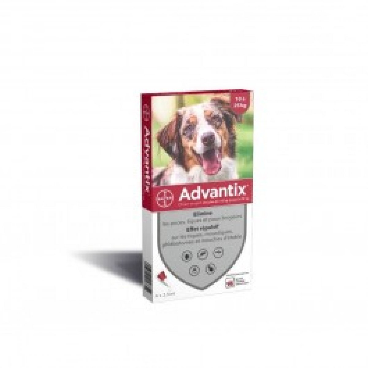BAYER ADVANTIX CANE 10-25KG
