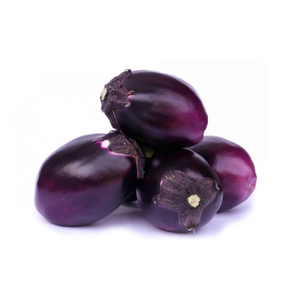 MELANZANE VIOLA