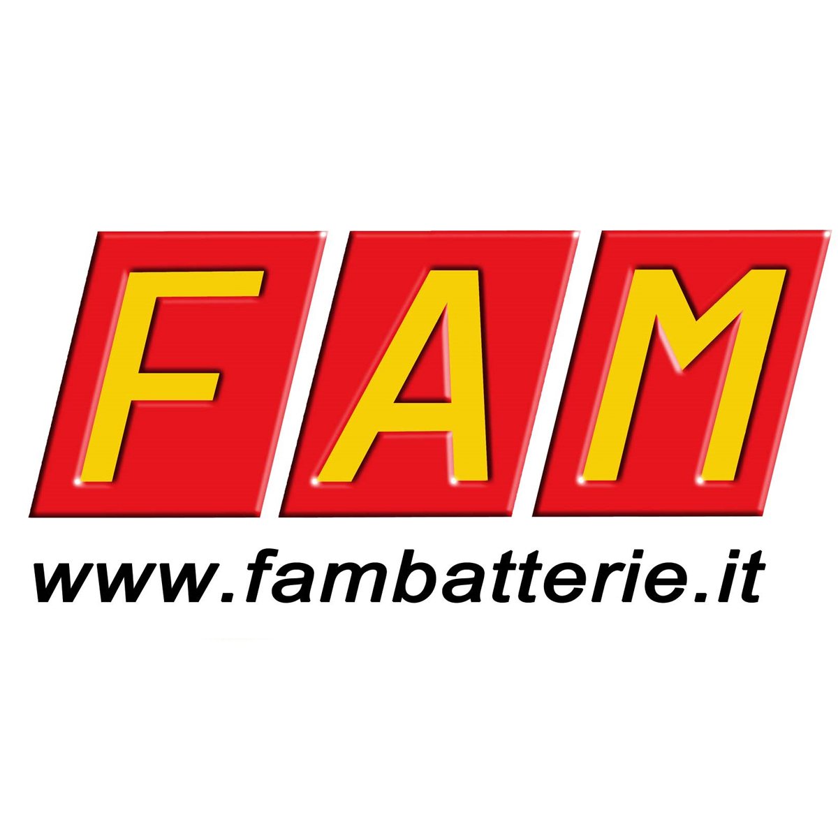 Art. 65-B Ah PLUS Accumulatore FAM