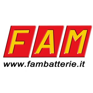 Art. 80 Ah L3B-AFB  Start & Stop Accumul