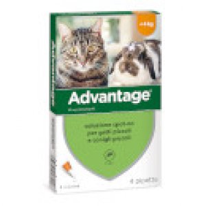 BAYER ADVANTAGE GATTO FINA A 4 KG ANTIPULCI