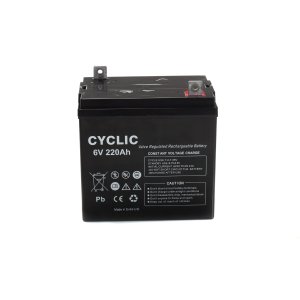 Art. BE 06200CY - 6V  220Ah   Accum.Erme