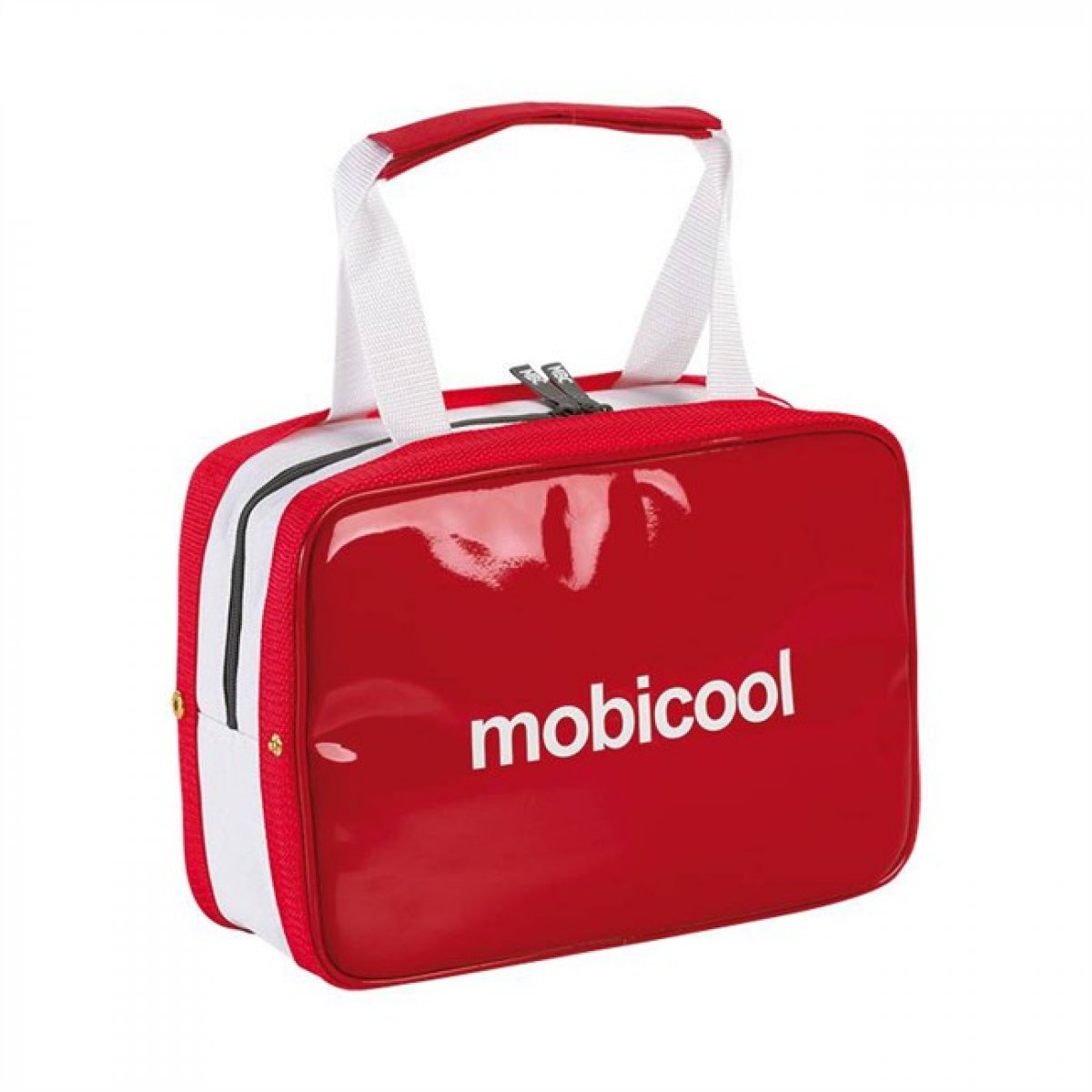 BORSA TERMICA ICECUBE 24 LITRI MOBICOOL