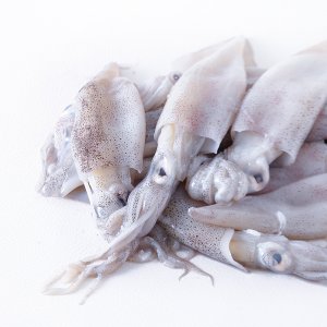 Calamari decongelati (2calamari circa 100gr)