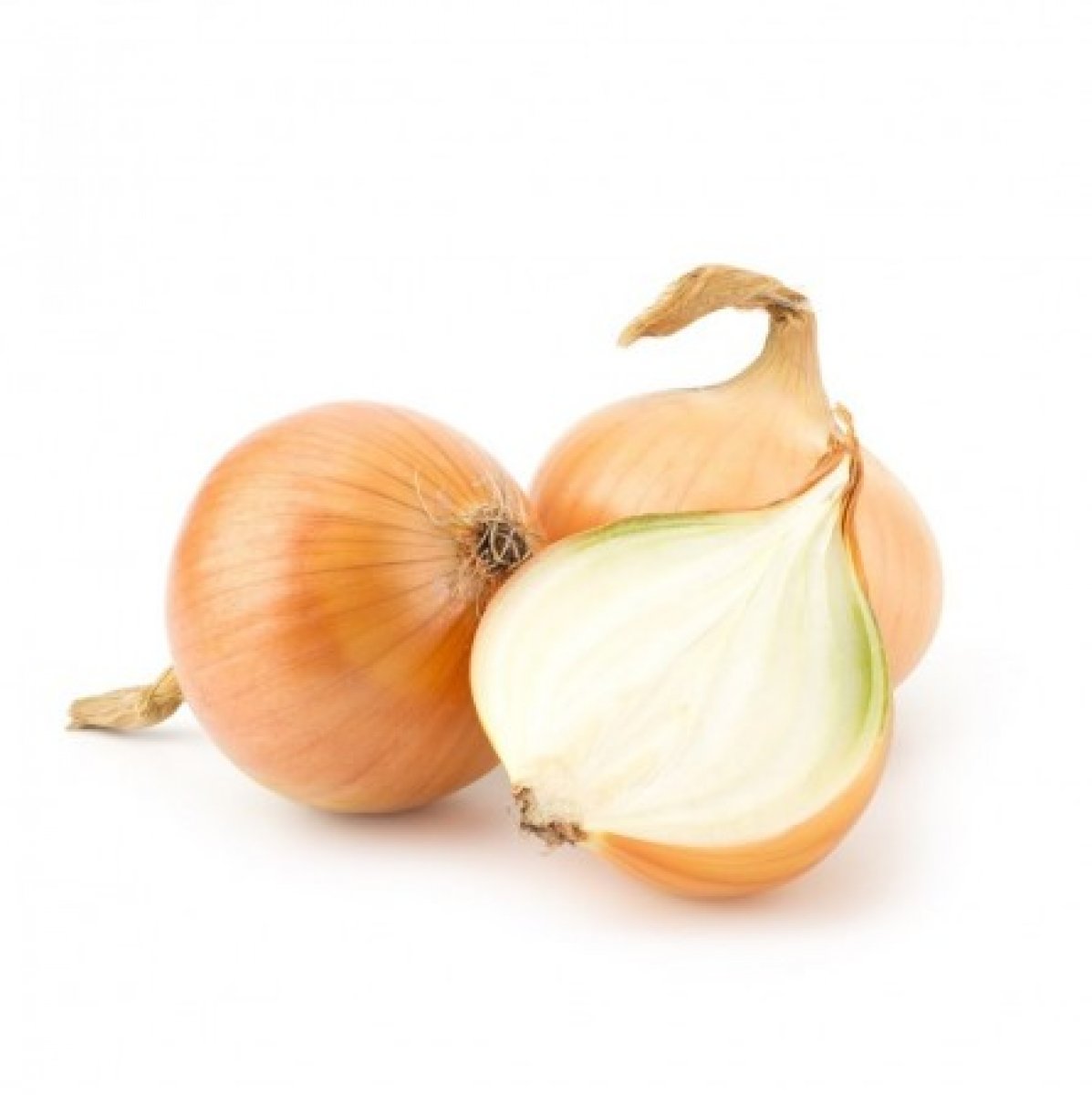 Cipolla Dorata