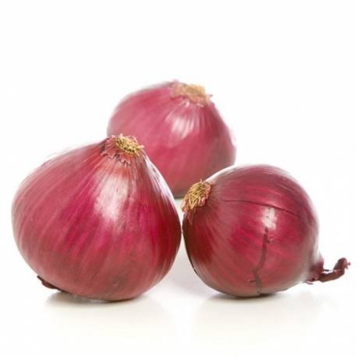 CIPOLLA ROSSA