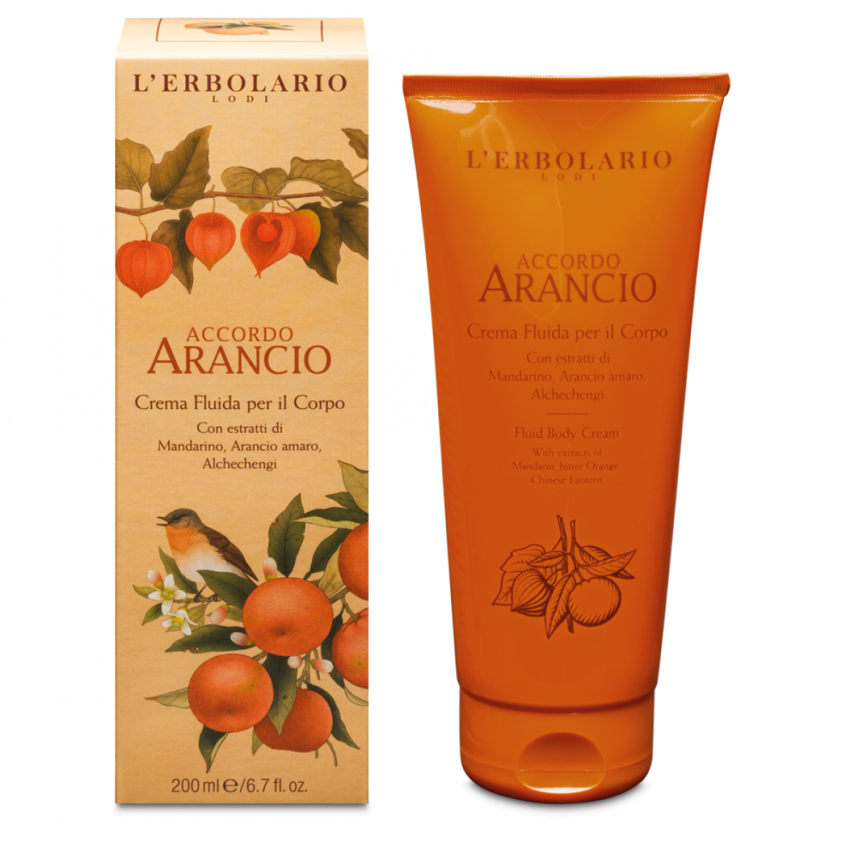 Accordo Arancio Crema Corpo