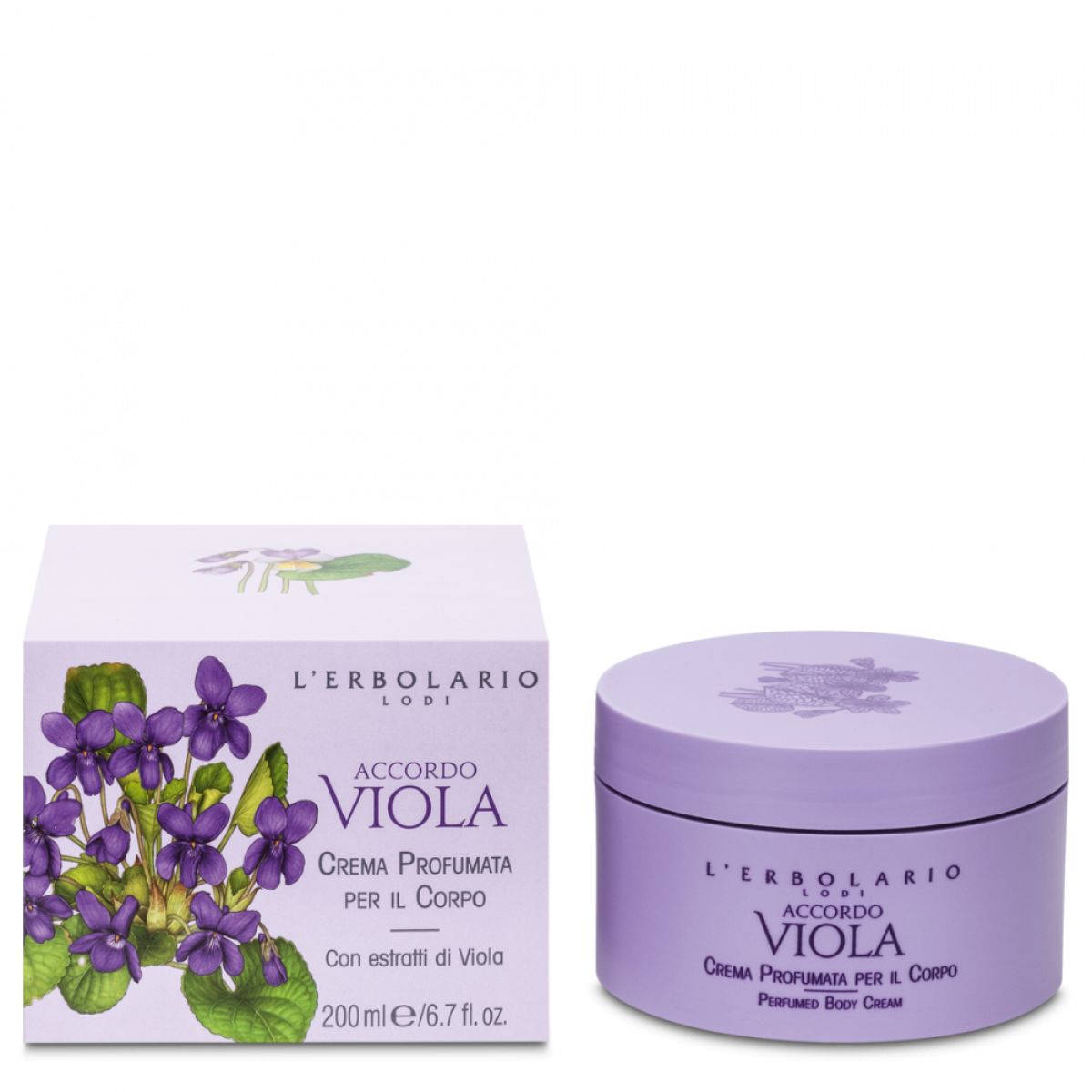 Accordo Viola Crema Corpo