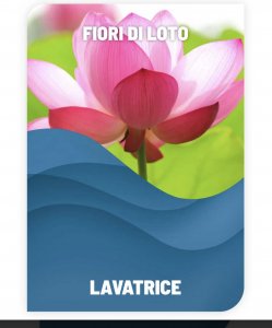Detersivo LAVATRICE FIORI DI LOTO adatto per uso professionale  1 litro