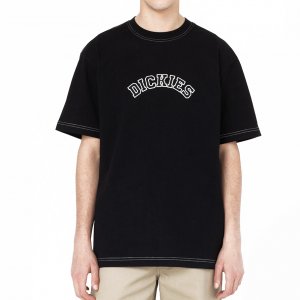 DICKIES t-shirt west vale maglia uomo Black