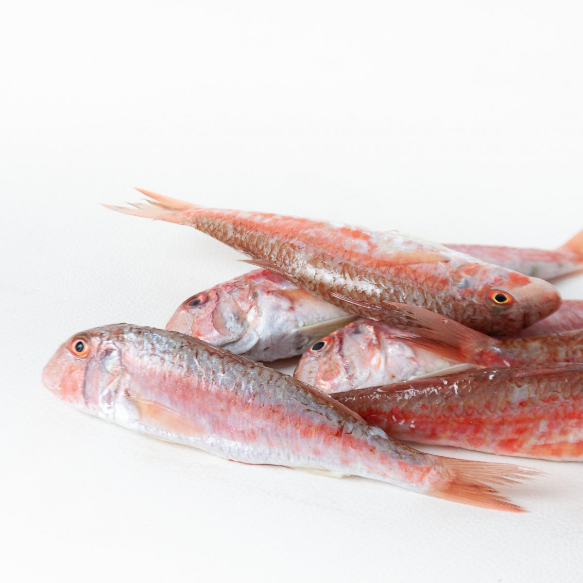 Triglie grosse min 1 kg