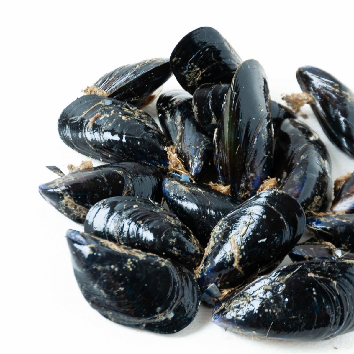 Cozze fresche Nostrane 