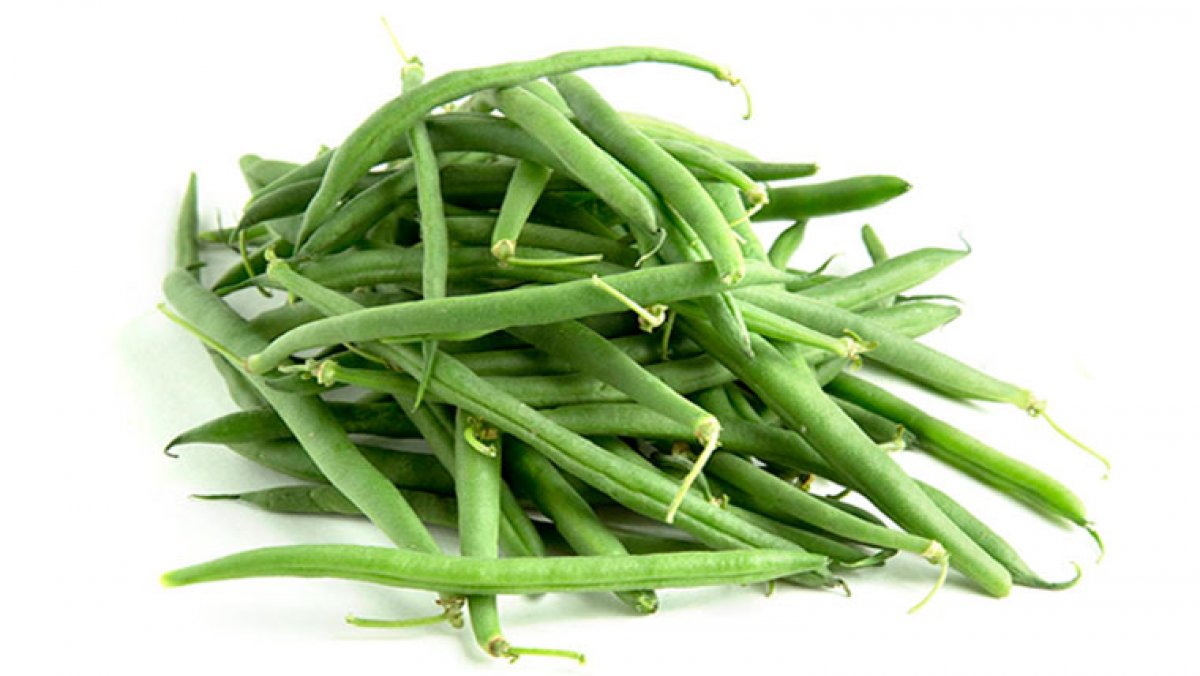 FAGIOLINI