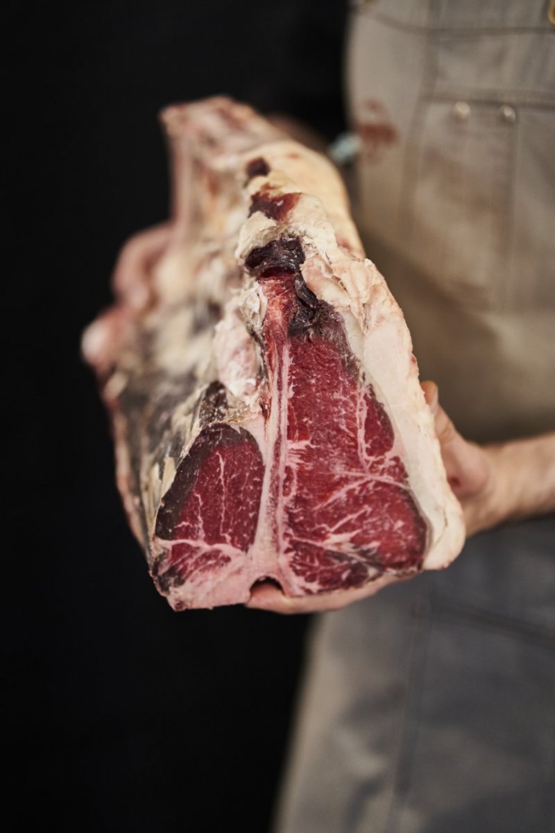 FIORENTINA RED HEREFORD fiorentina