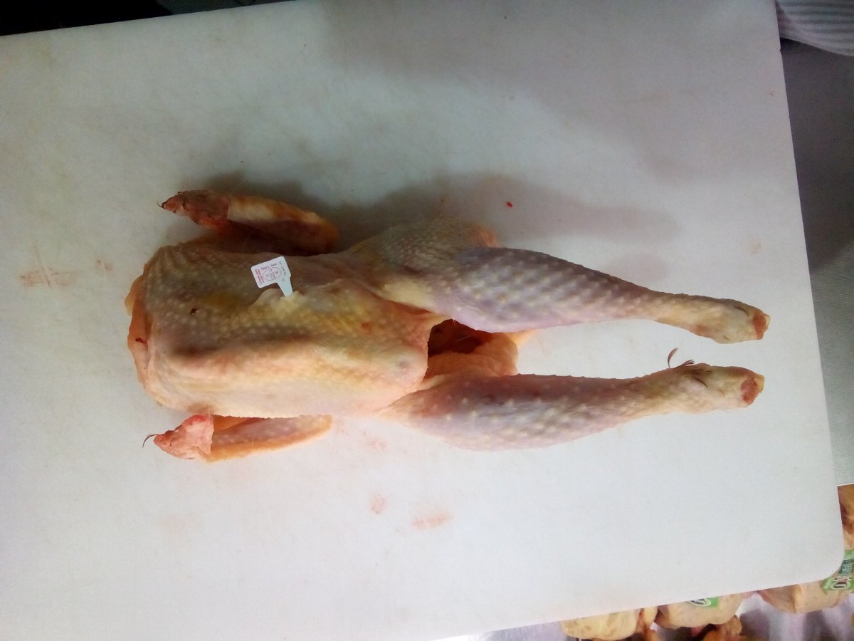 GALLINA DA BRODO