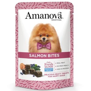 AMANOVA Snack per cani grain free 100 gr SALMONE