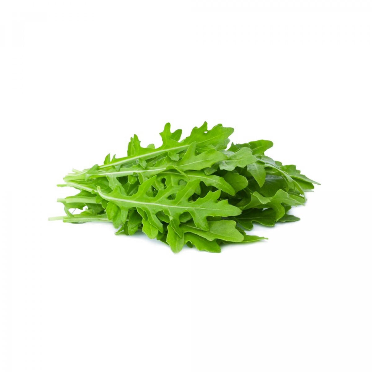 RUCOLA