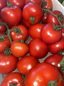 Pomodoro grappolo