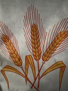 Farina di grano tenero tipo “0”