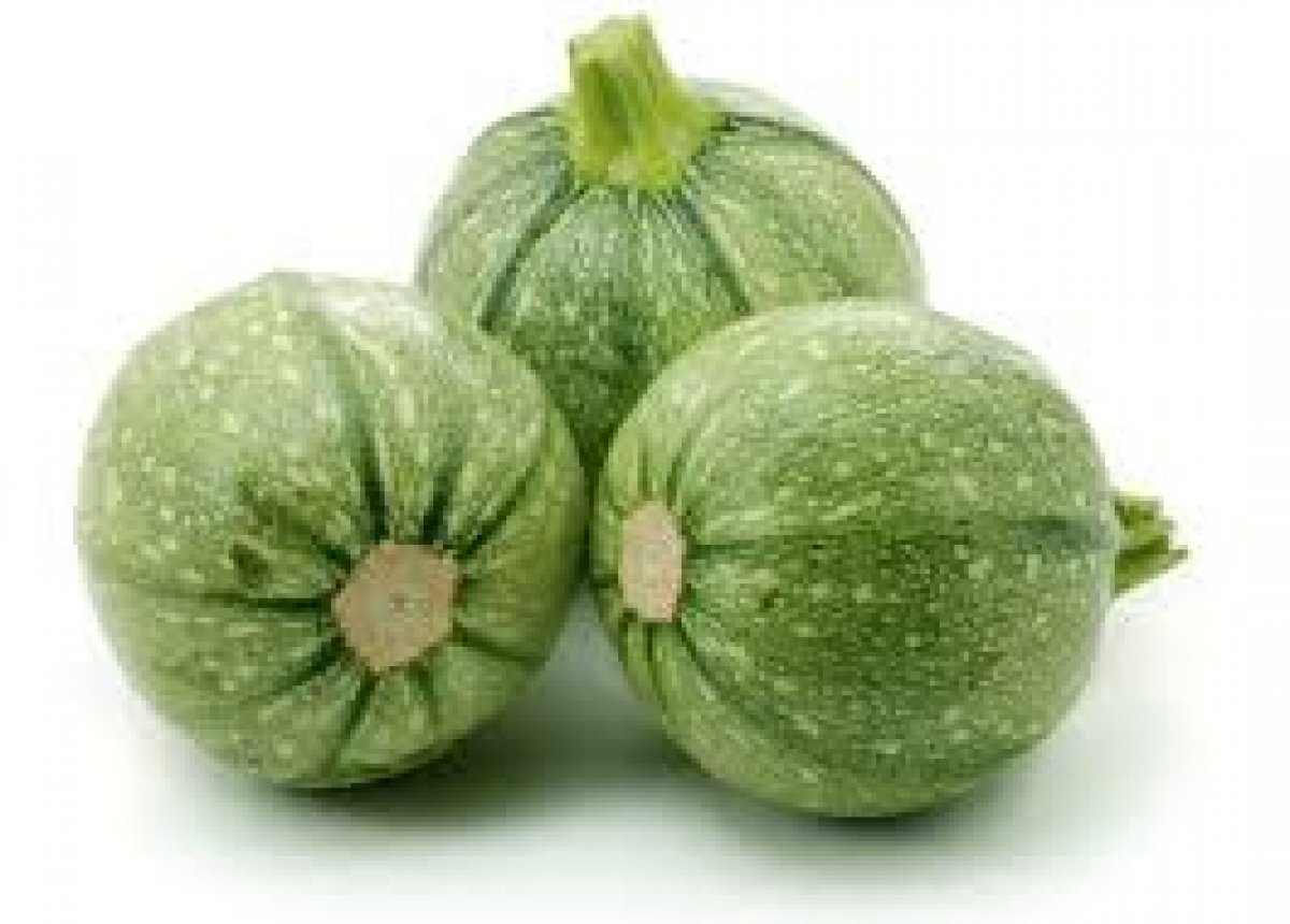 ZUCCHINE TONDE