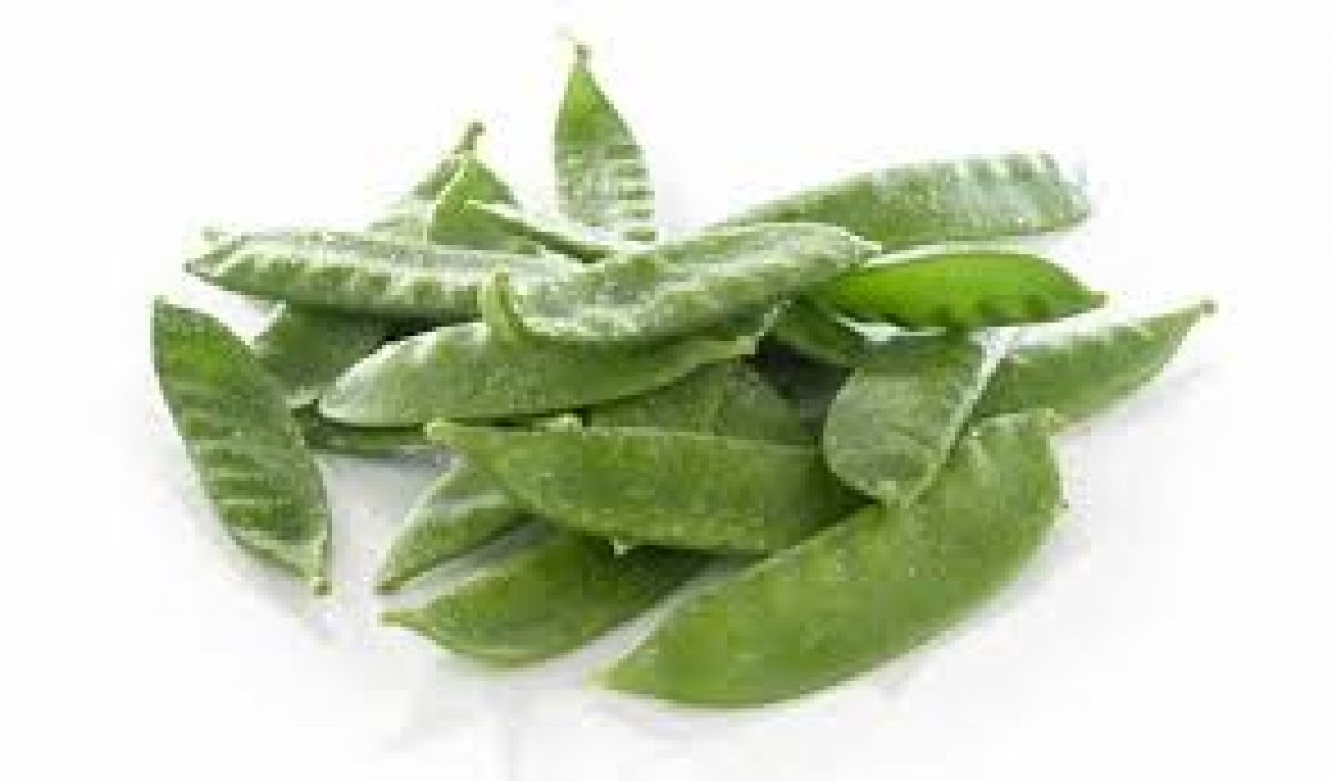 TACCOLE