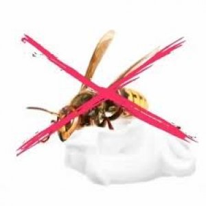 Insetticida anti vespe e calabroni spray 750ml