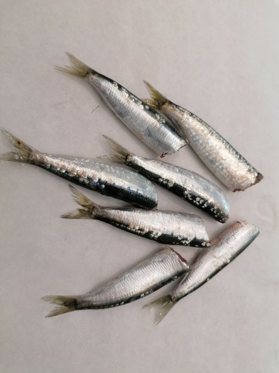 Sardine pulite Sardine pulite