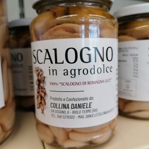 Sgalogno agrodolce