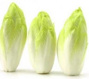Insalata Indivia Belga