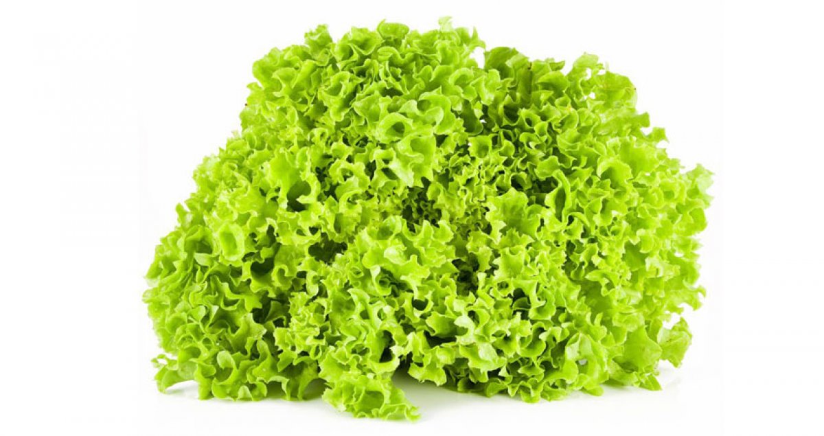 INSALATA LOLLO