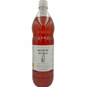 KEFIR DI ACQUA BIOLOGICO