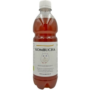 KOMBUCHA BIOLOGICO