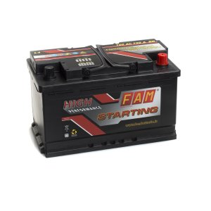 Art. L4-100 PLUS 100Ah    Accumulatore
