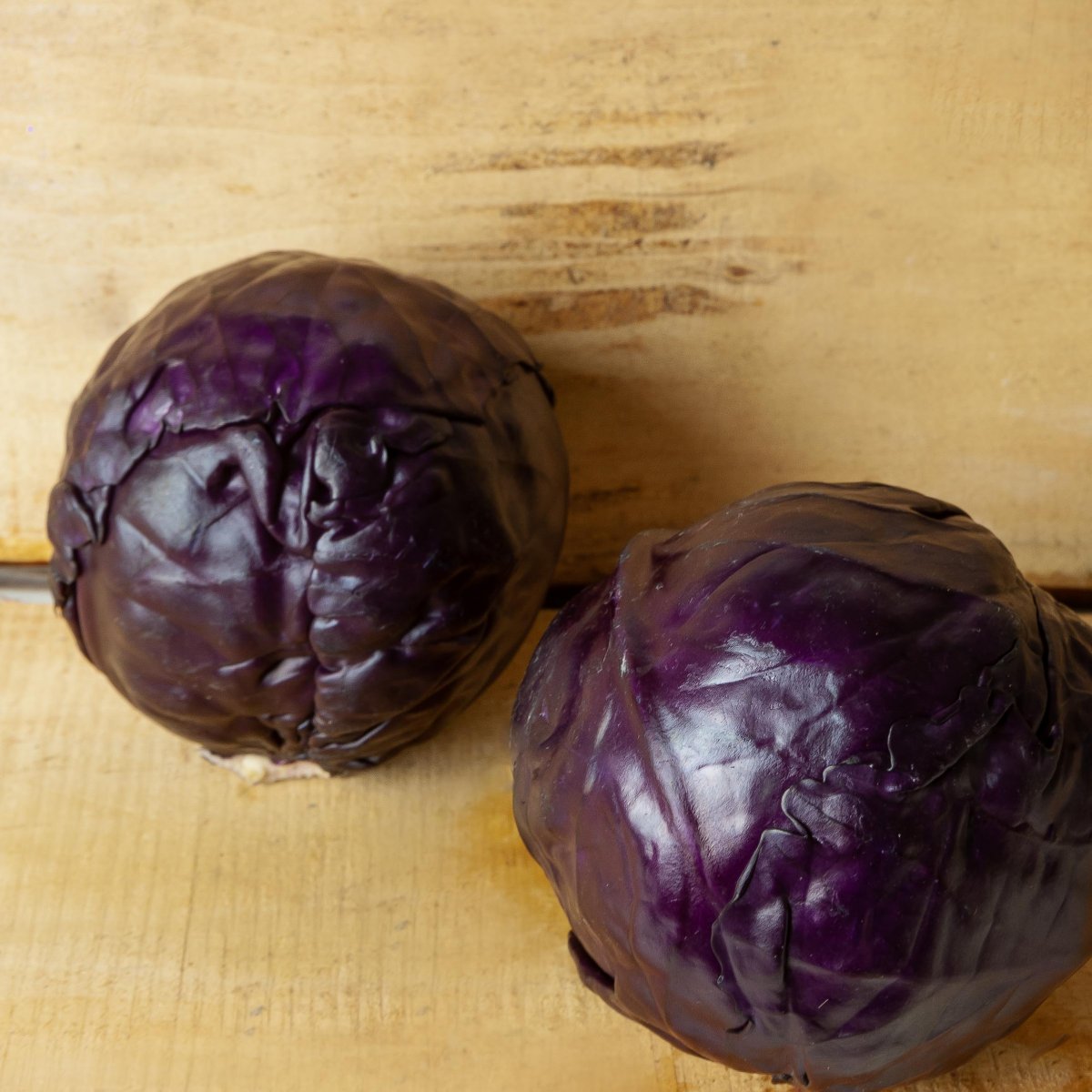 CAVOLO CAPPUCCIO ROSSO
