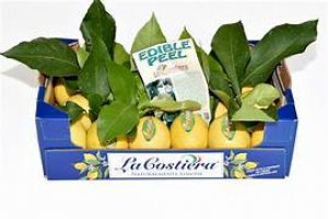 Limoni naturali costiera con foglia buccia edibile