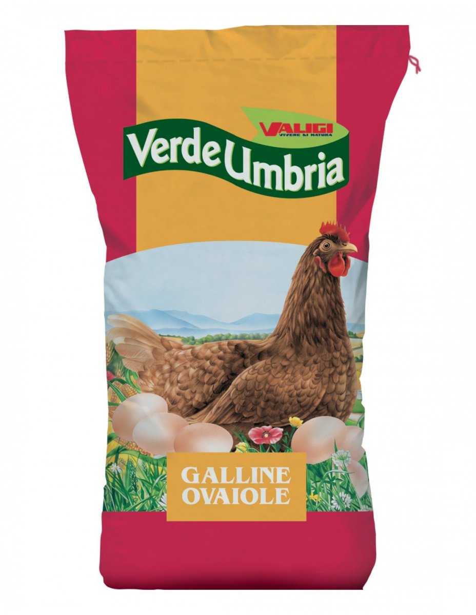 GRIGI MANGIME GALLINE OVAIOLE 10KG