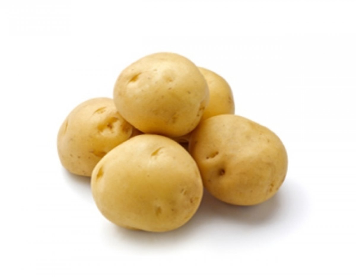 PATATE NOVELLE
